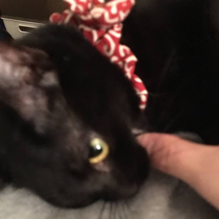 1f2da302 9425 4554 a38b f51083fd3ffb