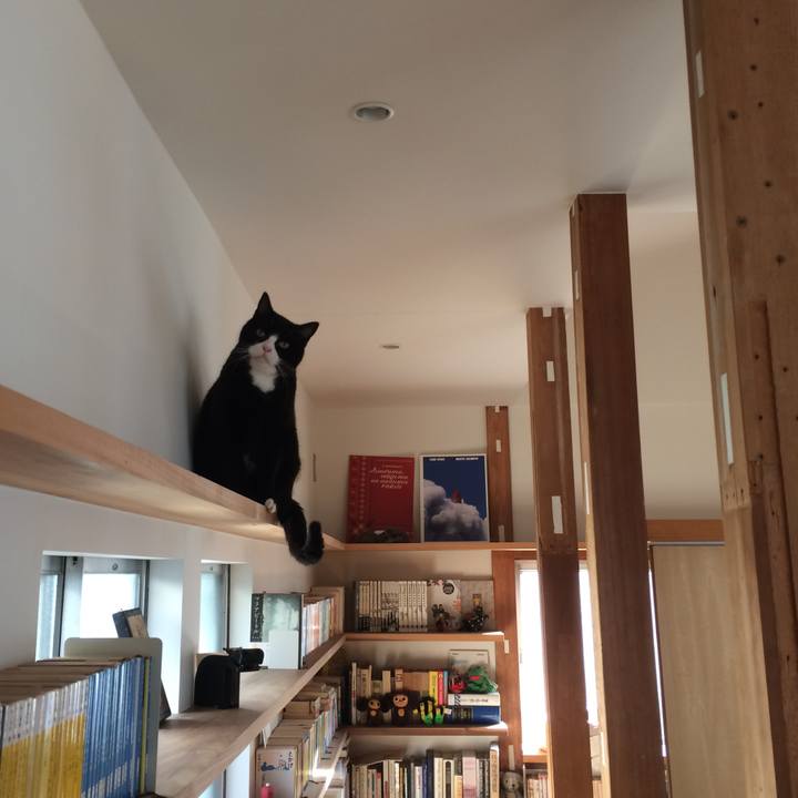 1f2edcc3 9d02 4d21 b354 92fc801f251e