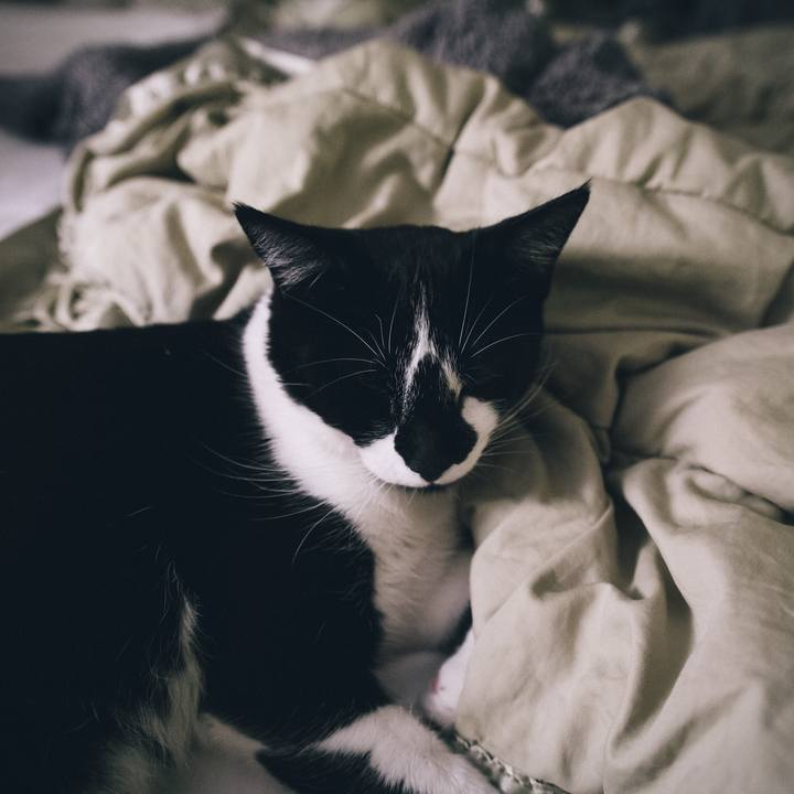 1f2f0d17 fb2b 4b8e 8a13 d434871199b0