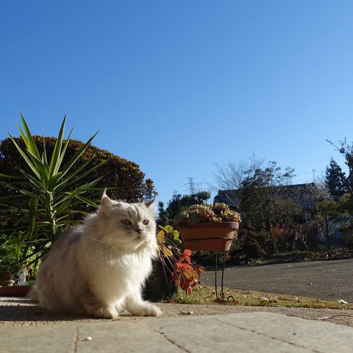 1f2f4432 6cf2 4689 93b7 553bc54a09b1