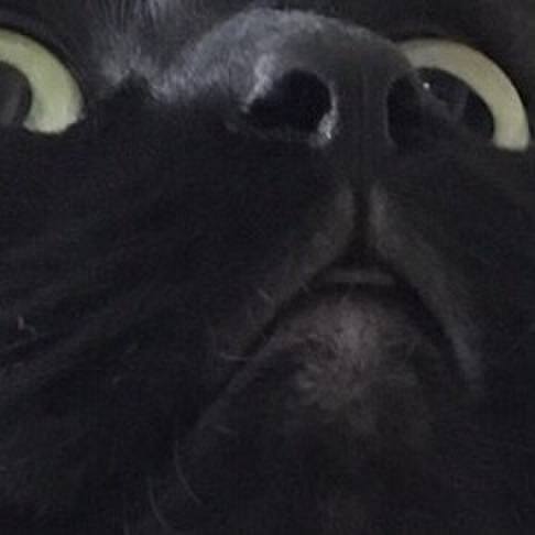 1f2f6150 7bc5 45ad bdd5 dd57d963c012