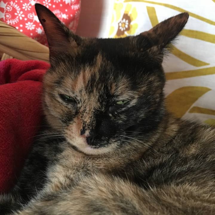 1f2f8206 aef0 4fb3 8417 c50a2b059b99