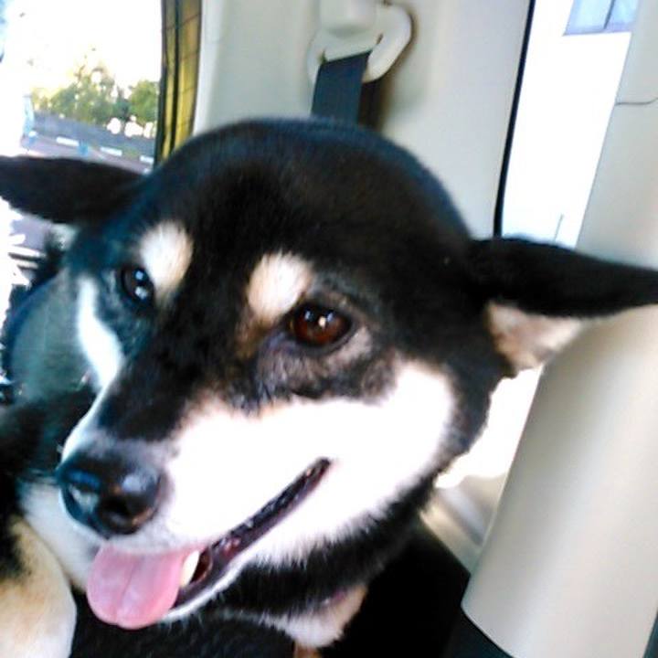 1f30be66 bd8b 49e5 86b0 b93686c7f886