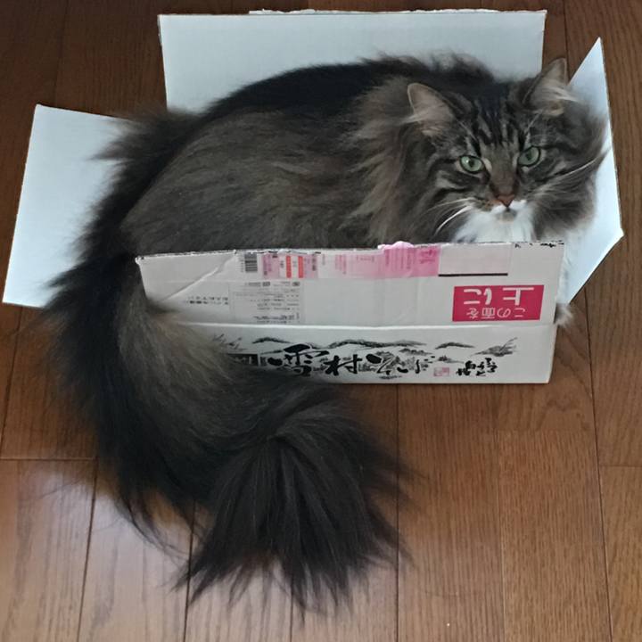 1f315202 b537 4b7d b9be bb84d26b93ac