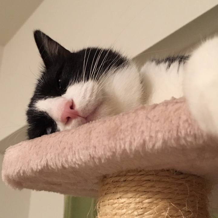 1f316a81 f5aa 4020 a69c bf7a826b7cec