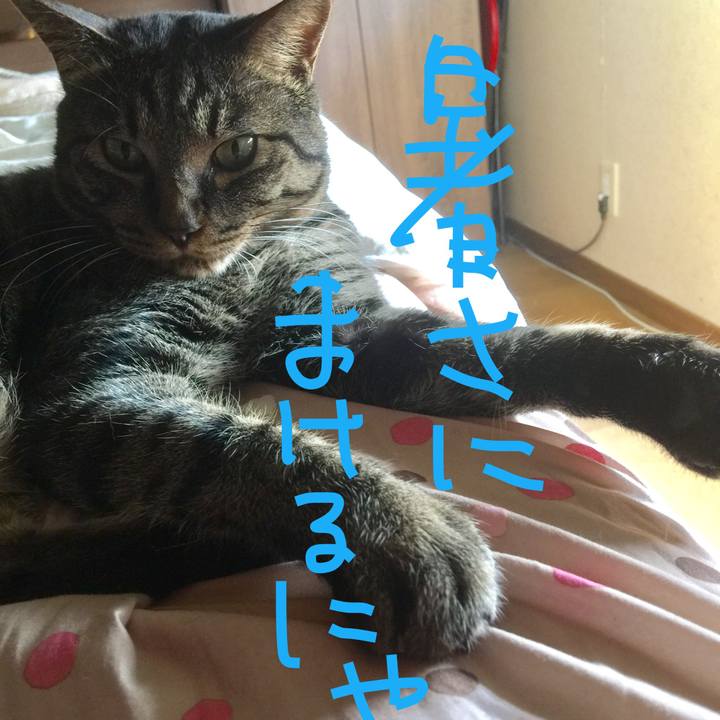 1f3190d3 3fbb 4da3 b2af cbba2e13cf0c