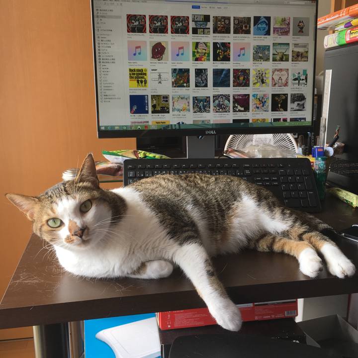 1f31a37a cbdf 4cd7 83c9 e9043cb72b3b