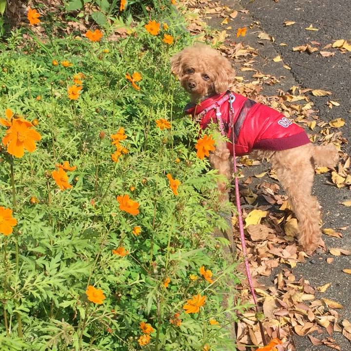 1f31ee36 fbf9 4b8d bd29 d907976ad5ef