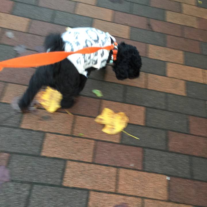 1f31feef 7c35 414c beb1 3070d0797d5a