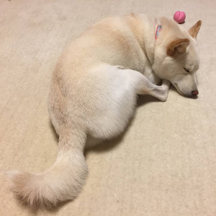 1f326bf5 ca3b 4885 acc2 4ad01fc3a10b