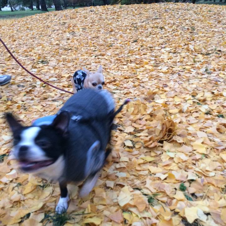 1f32e2f6 1ddc 42df a1e8 846f4e231f53