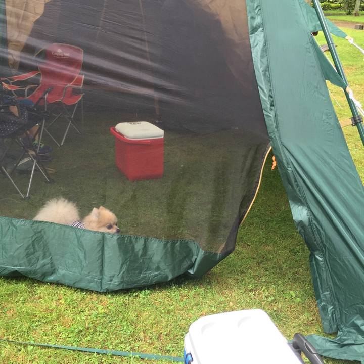 1f344fd6 6f0d 4a7e ae6b 6bab52eb0fcf