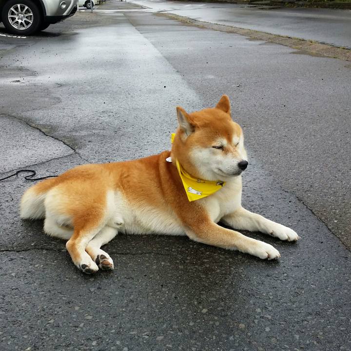 1f3478cd 08af 4314 bc0b dac709b9e911