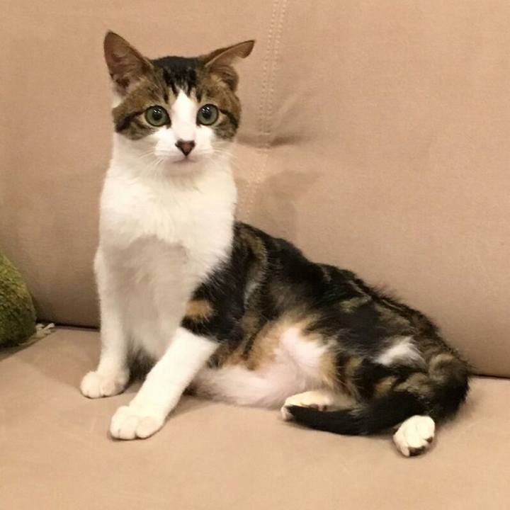 1f34ffe5 c4e3 49cd 9ef3 5c9367d3603b