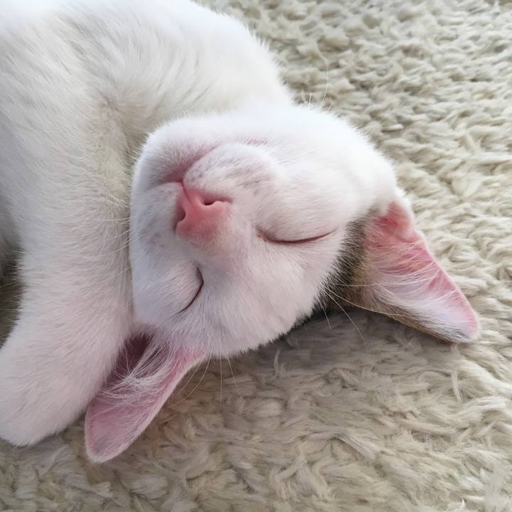 1f350689 1913 41e8 a1a6 f14d838a3d4f