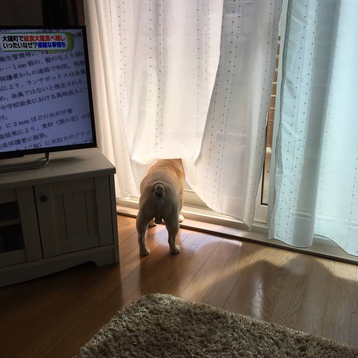 1f3511fc 1989 43a7 bdf1 34f05b9d7ac3