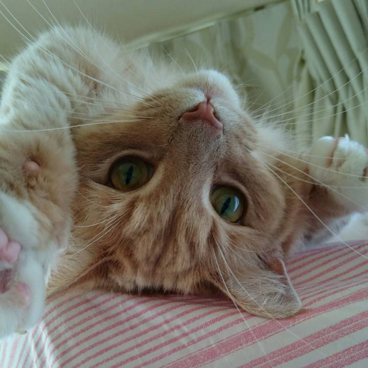 1f35ef2a b92c 47f8 82d4 20aae3c6b5f0