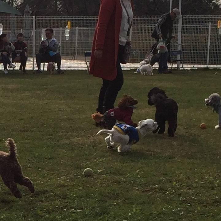 1f360af3 8889 4027 9d64 2756e14d67bc