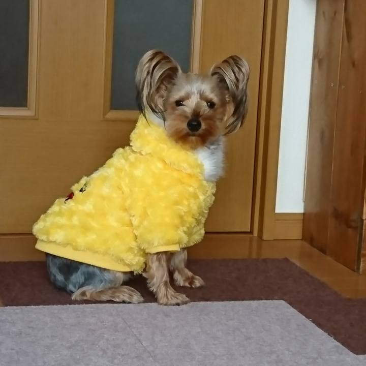 1f36300e 4585 4fda af5c cb291c2a145f