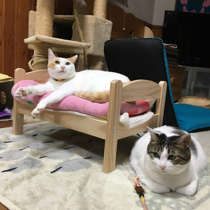 1f3681a4 201d 44df a073 a073e2ab5978