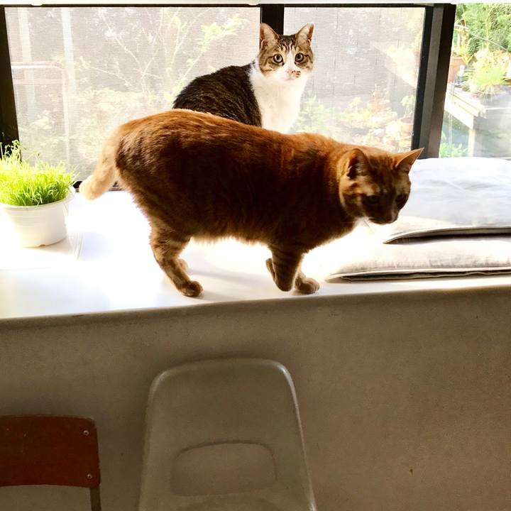 1f36bbcd 7831 410b 85ce 9e693331be3f