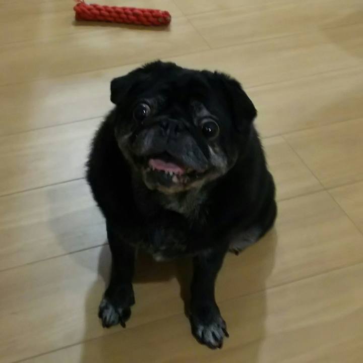 1f3707c5 d99f 4ac7 833c 61bcfea8819e