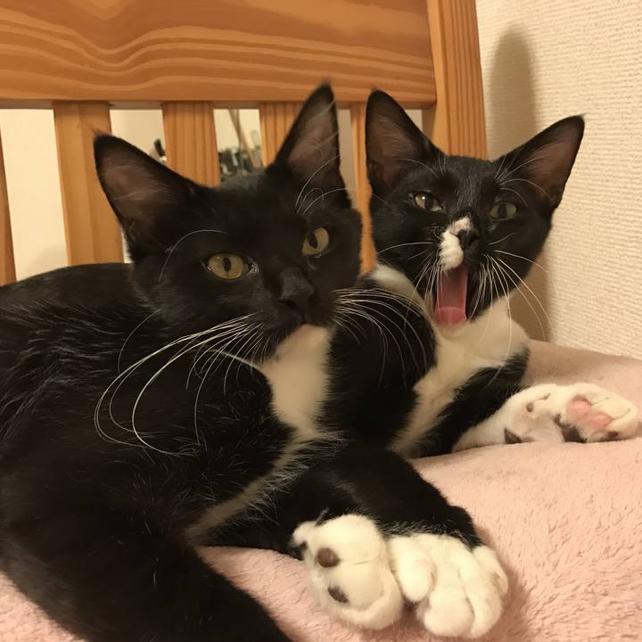 1f376f56 8628 4cdd ab74 0bcd33582650