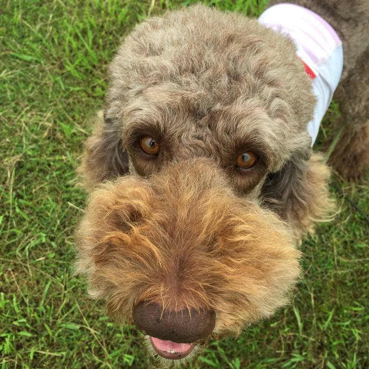 1f37c0c7 46ec 4d0e b51b eab9fd886fee