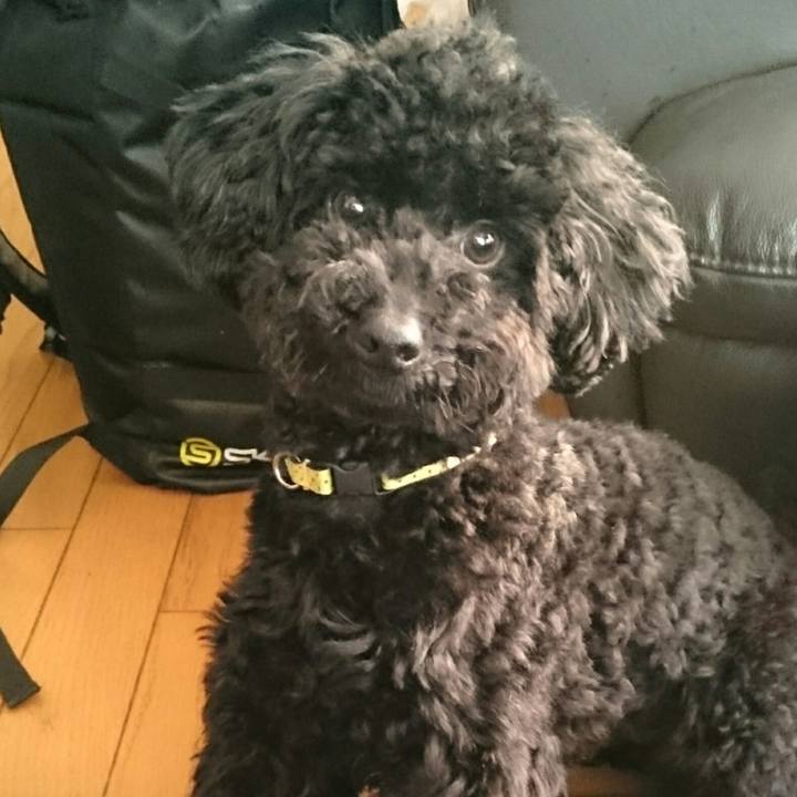 1f37e8cc 1af7 40b4 9b27 37c2d9f299eb