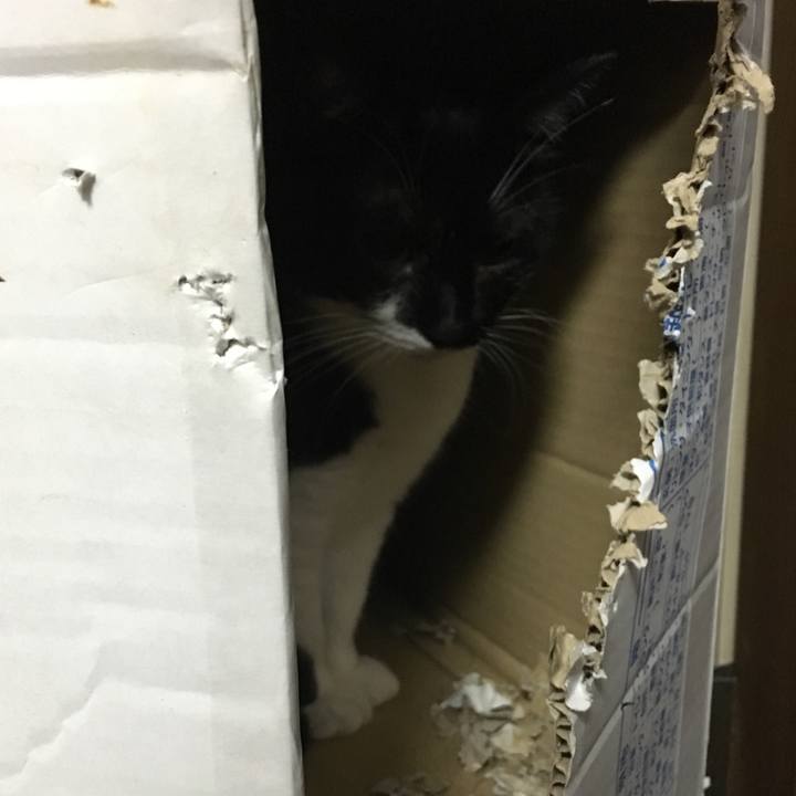 1f384c36 7f8c 4f54 bb62 ef0b48e3d20d