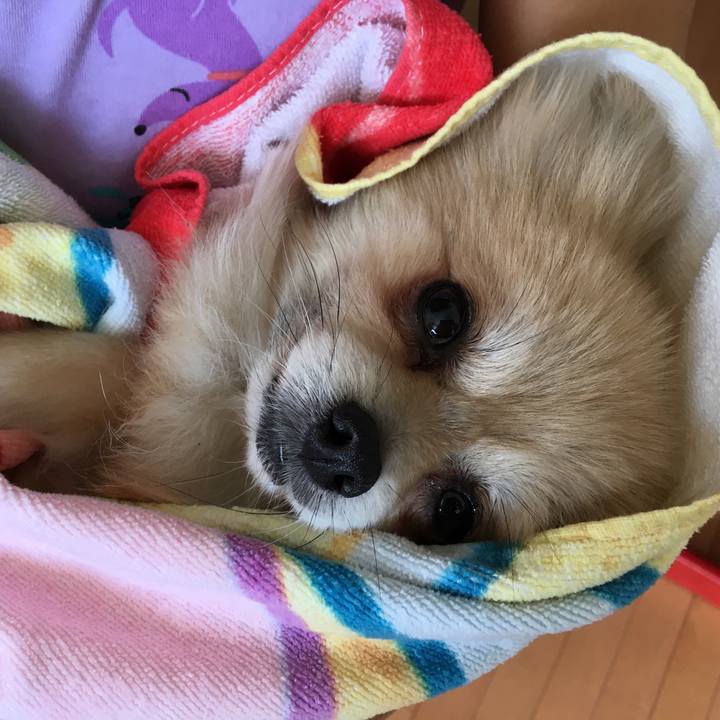 1f386811 d431 4d17 8edb 32bd75e172cd