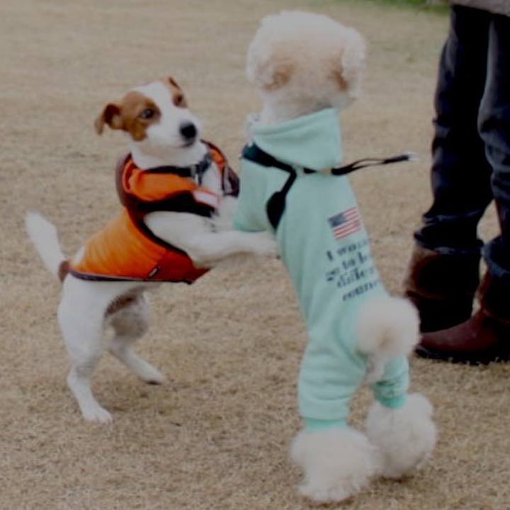 1f3886f6 a7eb 489c 8e51 a47822d96e11