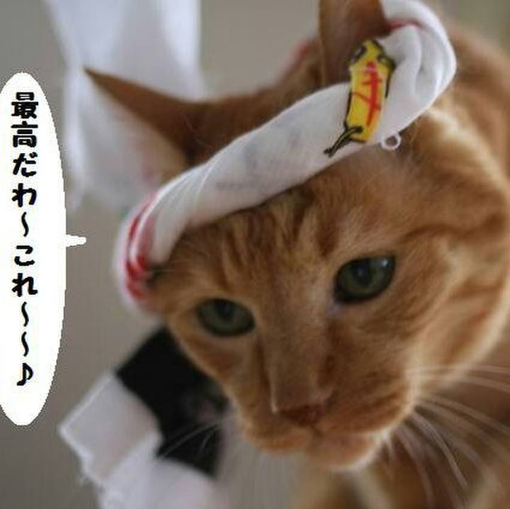 1f38ad0d 002a 44eb bda2 a0a7b9456d53