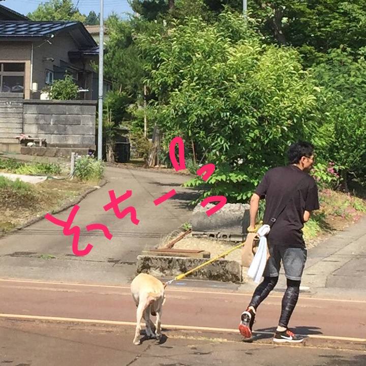 1f390035 94f6 475b 947b 412d8b923520