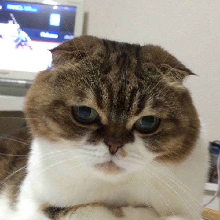 1f399151 d295 4ed5 a892 6eebc8f08c33