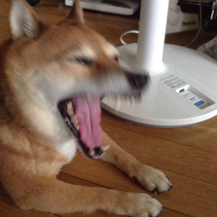 1f39c4eb 34e7 4eaf b5c5 d3c7d88ebc67