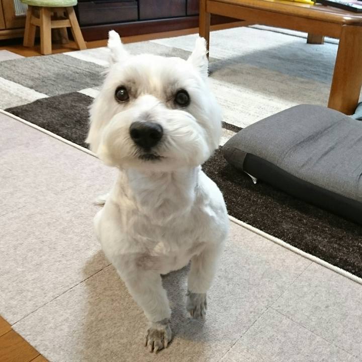 1f39d78d fb9a 4687 90f8 aa7ecc98071a