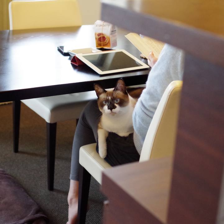 1f3a4041 9a41 45d7 a7d0 f1e2359aecd5