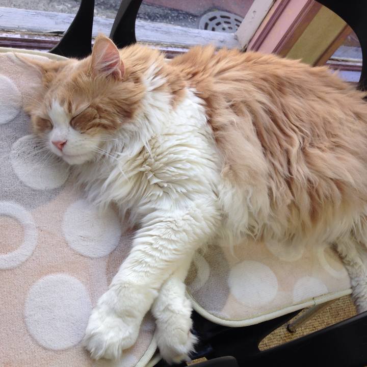 1f3aa835 496b 446f b7ce 1f4500a957fd