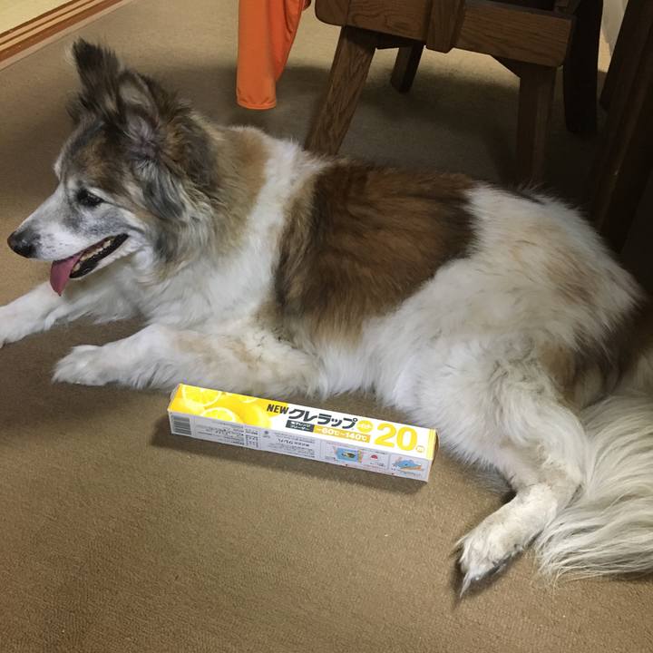 1f3b4937 1e14 42c8 a629 0385e7b0f839