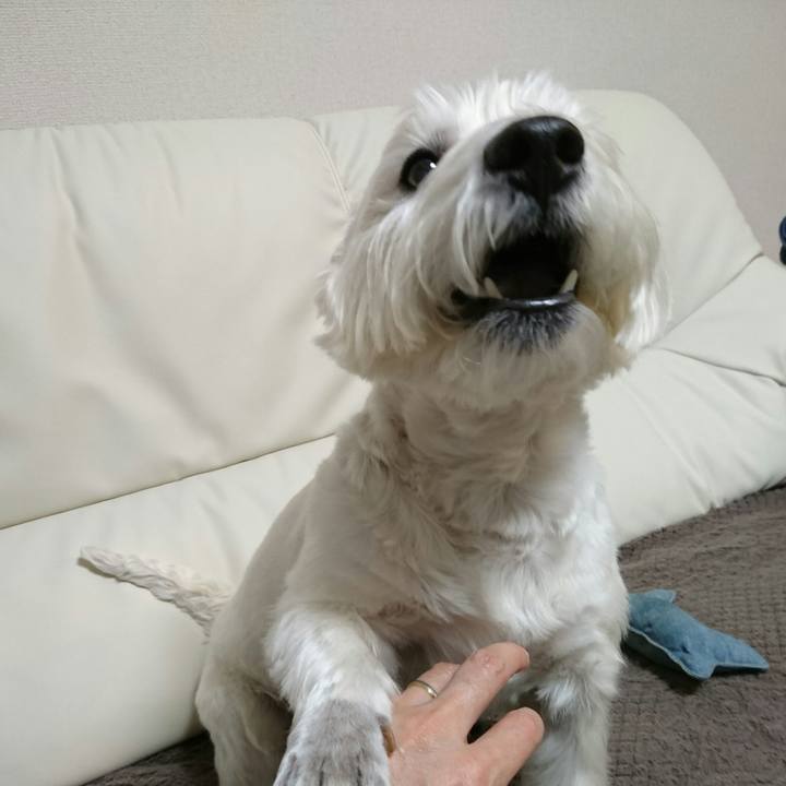 1f3b6788 bfa3 4c44 a842 4769e2d4d74f