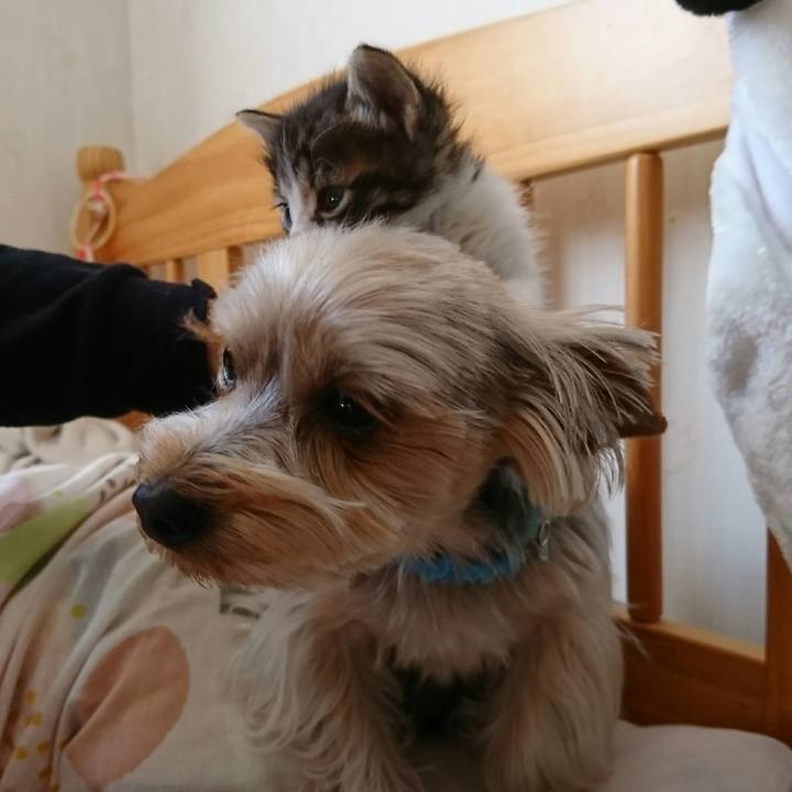 1f3bedde 7254 47ab b6f0 9cd56ababee3