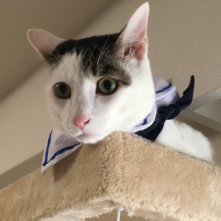 1f3d1211 daf3 4b3b 85c6 60a61ce07b46