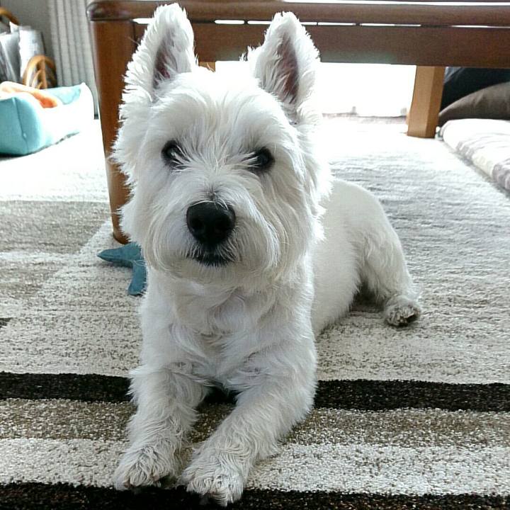 1f3d9bcc 4d7a 40ab a2e3 d7c1dc66ed6b