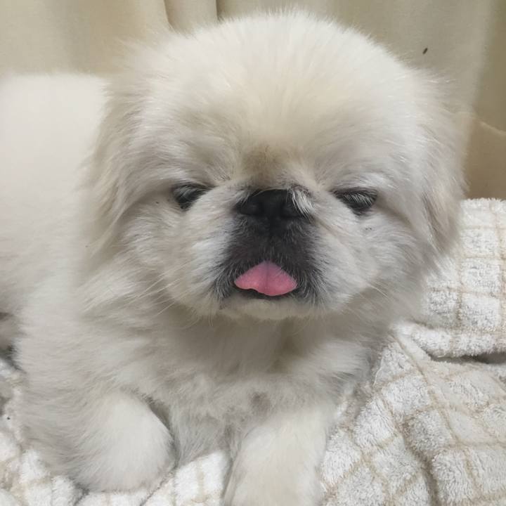 1f3dcff3 6ce1 4fbb 92fa a8b061aaaed1