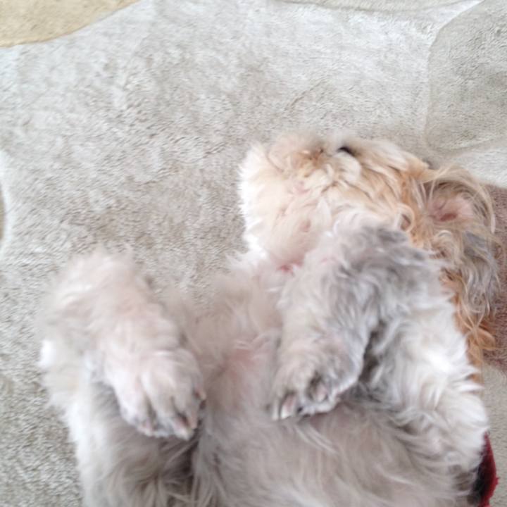 1f3e61c7 d931 47ff 9b0f 09f28ad92f9a