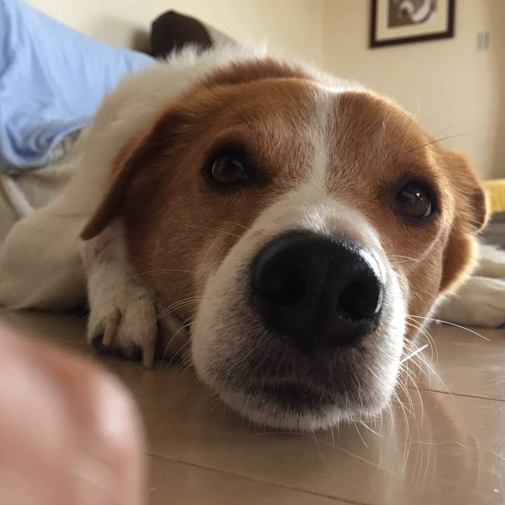 1f3e8805 0538 47ce b51a eda1eac35a35