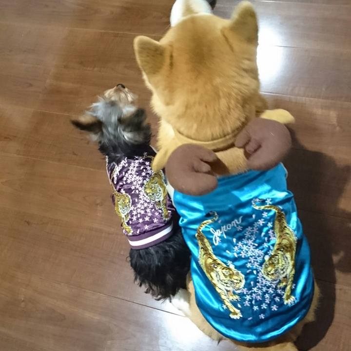 1f3f0be6 25f7 4777 9c72 2801c53db1e2