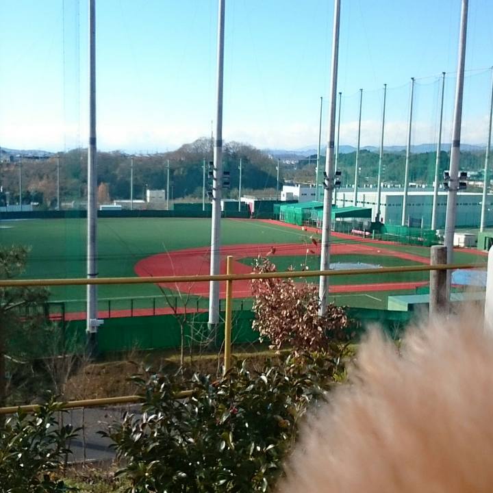 1f3f2394 0e5f 46c1 bd95 c905688cf4de