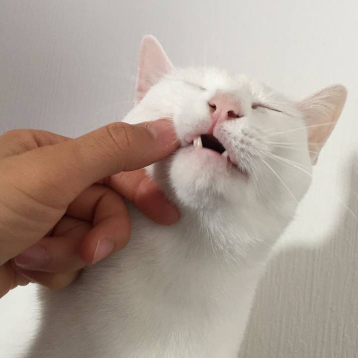 1f3f2d3d 954d 4b84 8261 e5cd15435e2d